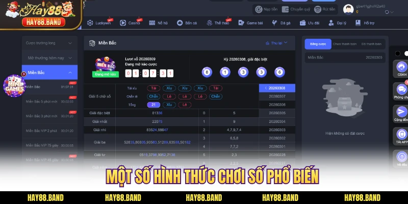 Một số hình thức chơi số phổ biến Một số hình thức chơi số phổ biến