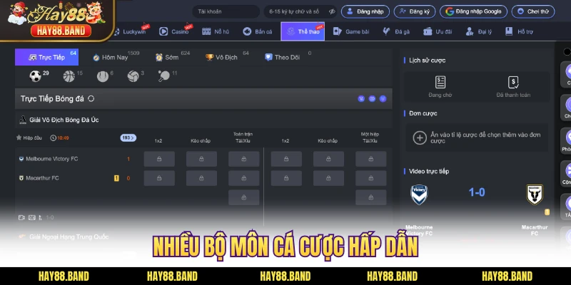 Nhiều bộ môn cá cược hấp dẫn Nhiều bộ môn cá cược hấp dẫn